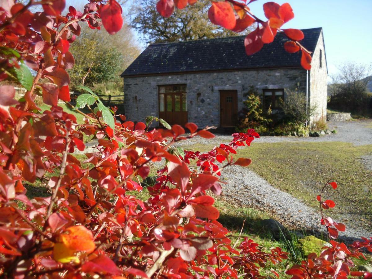 Cae'R Beili Villa Llandovery Eksteriør bilde
